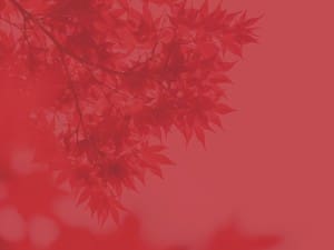 Prayer Service Ministry Wallpaper