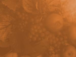 Thanksgiving Celebrate God's Blessing Religious Background