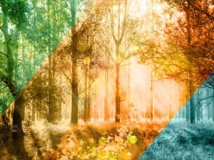 God of All Seasons Church Worship Background