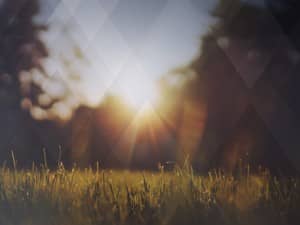 Nature Grass Field Worship Background