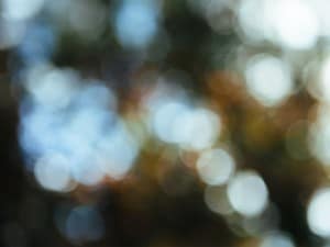 Nature Bokeh Worship Background