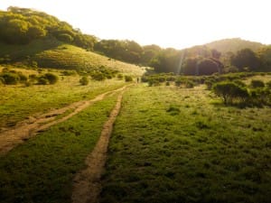 Quiet Paths Religious Stock Image