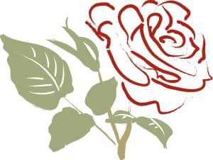 Red Rose with Pale Leaves