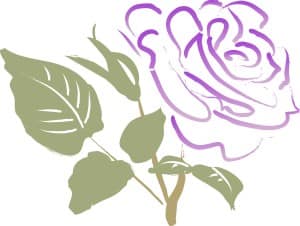 Purple Sympathy Rose