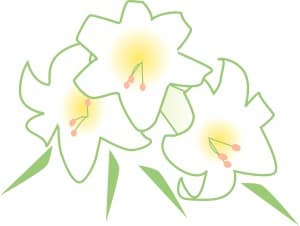 Bouquet of White Lilies
