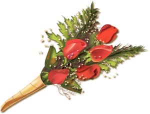 Valentines Roses