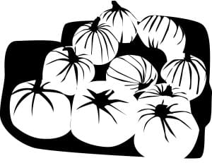 Black and whit Pupmkin Harvest