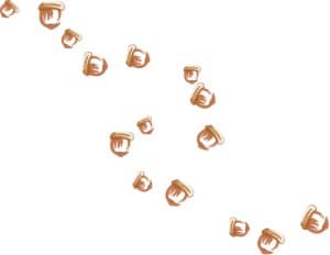 Many Acorns Tumbling Down