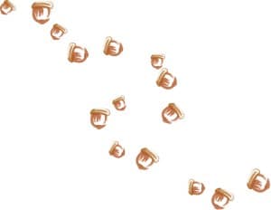 Many Acorns Tumbling Down