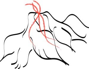 Two Doves with Red Ribbon