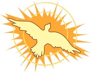 Soaring Dove with Gleaming Light