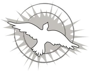 Soaring Dove with Rays in Black and White