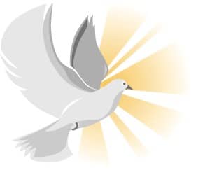Dove with Shades of Gray and Gold Rays