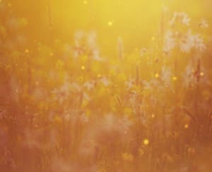 Ruth The Story of Redemption Chrsitian Wallpaper