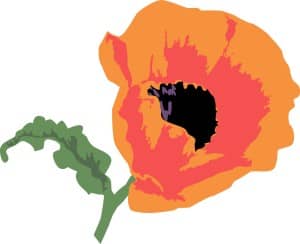Golden Poppy Blossom