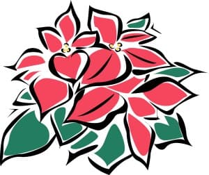 Abstract Poinsettia Flowers