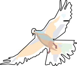Dove from Below