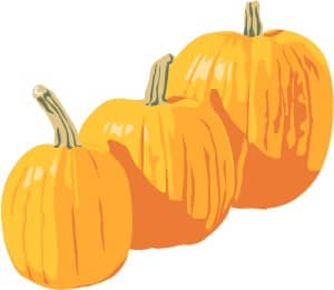 Three Bright Pumpkins