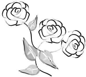 Three Gray Roses