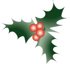 Christmas Holly Berries