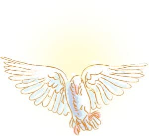 Gold Dove Image