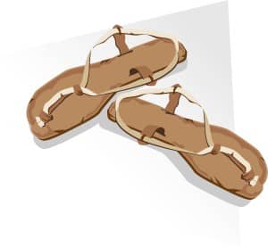 Brown Sandals