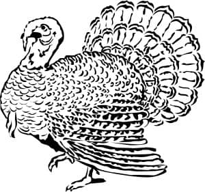 Woodcut Style Turkey