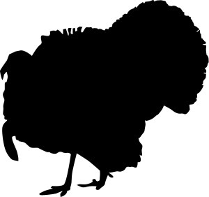 Turkey Silhouette