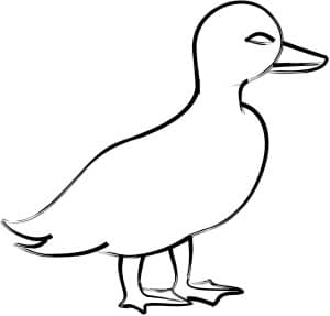 Line Art Duckling
