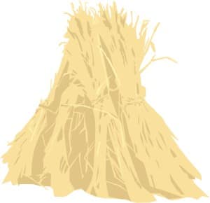 Sheaf of Wheat