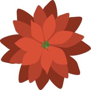 Modern Red Poinsettia