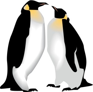 Two Penguins
