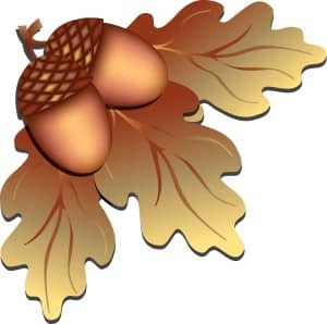 Acorn Art Christian Clipart