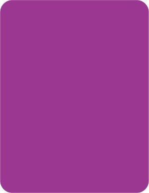 1177444707294_1568