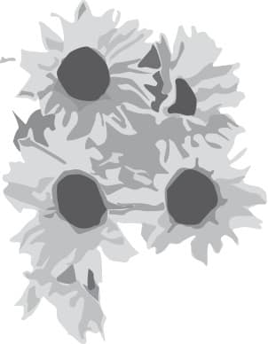 Sunflowers Tied Together