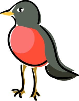 Red Robin Standing