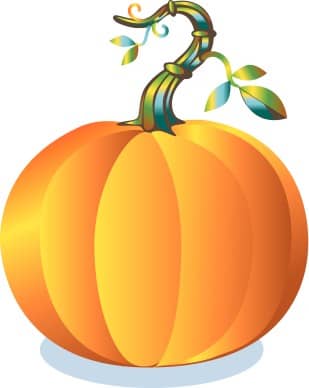 Colorful Round Pumpkin