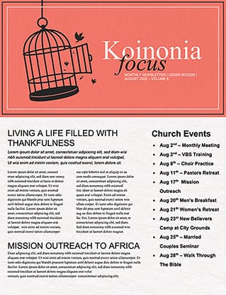 The Art Of Apology: Newsletter