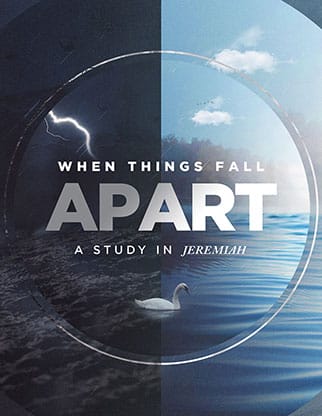 When Things Fall Apart: Flyer
