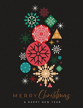 Merry Christmas & Happy New Year: Flyer