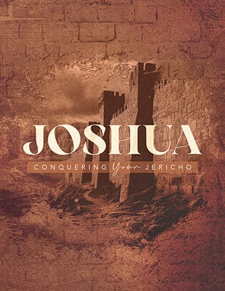 Joshua: Flyer