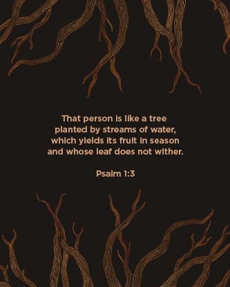 Rooted Rustic Roots - Scripture 2: Social Post