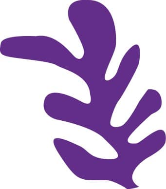 Abstract Purple Palm Frond