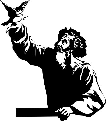 Dove Finds Olive Branch for Noah