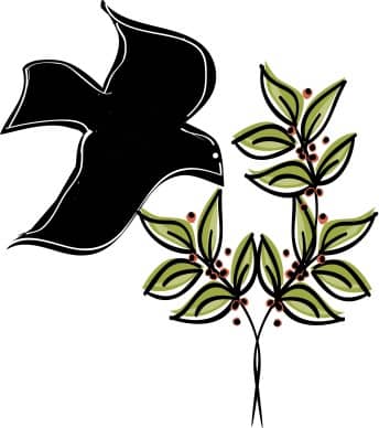 Dove on an Olive Branch