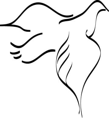 Dove In Flight