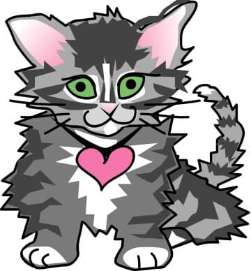 Adorable Gray Kitten