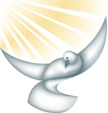 Dove In the Sun Christian Clipart