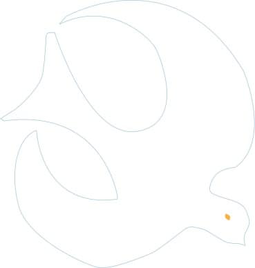 White Dove Graphic
