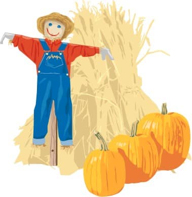 Fall Harvest Still Life